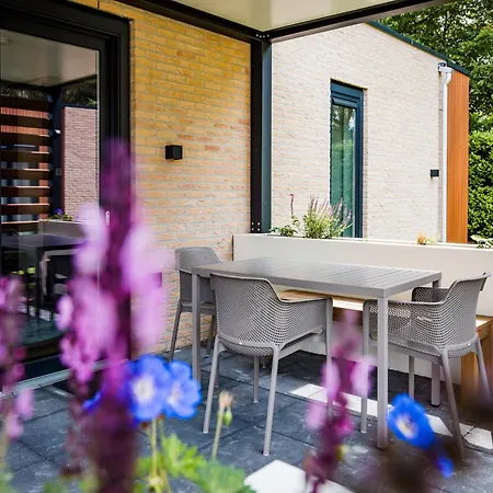 In Veluwe Surrounded By Nature *