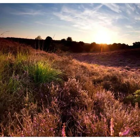 In Veluwe Surrounded By Nature Voorthuizen