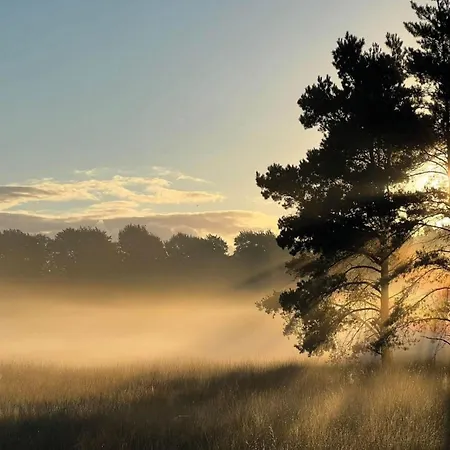 Tatil Evi In Veluwe Surrounded By Nature Voorthuizen