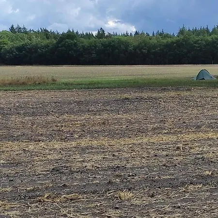 In Veluwe Surrounded By Nature *