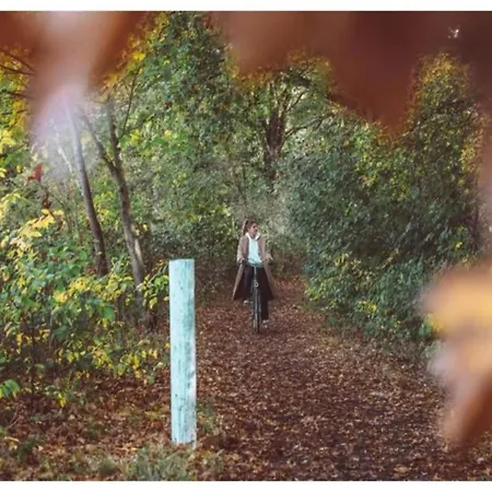 In Veluwe Surrounded By Nature Tatil Evi Voorthuizen