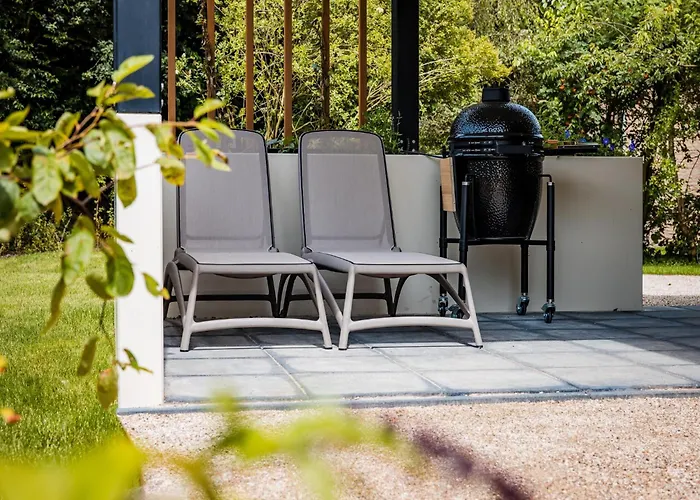 In Veluwe Surrounded By Nature *