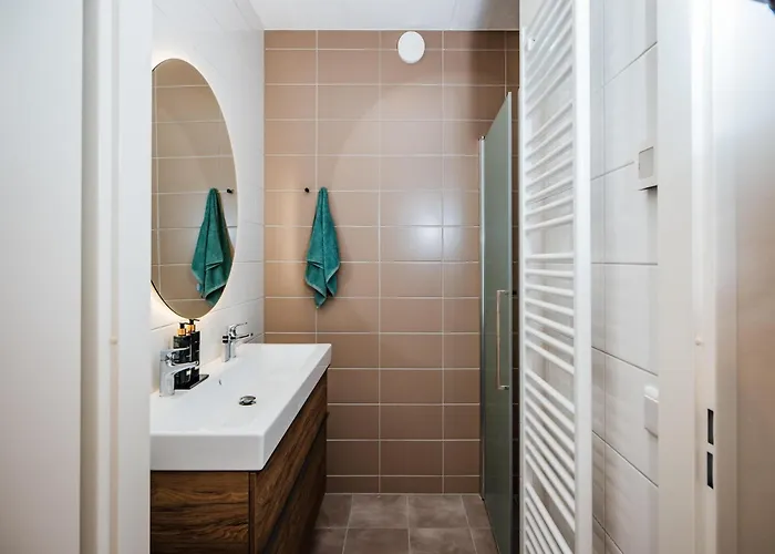 In Veluwe Surrounded By Nature