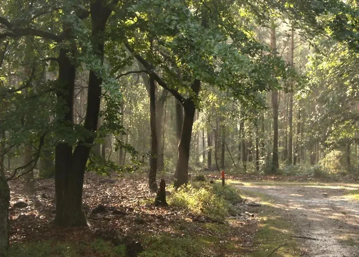 Semesterbostad In Veluwe Surrounded By Nature *