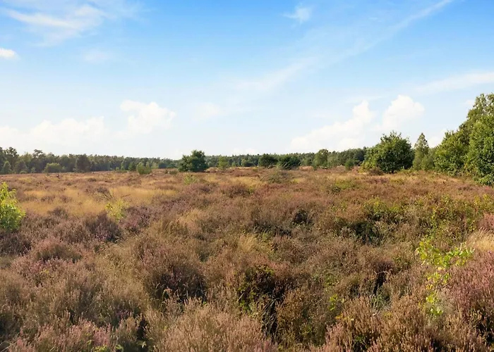In Veluwe Surrounded By Nature Semesterbostad Voorthuizen