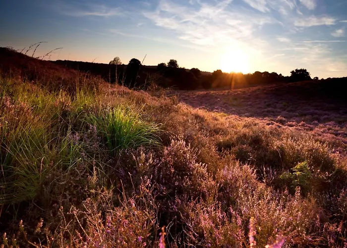 Semesterbostad In Veluwe Surrounded By Nature *