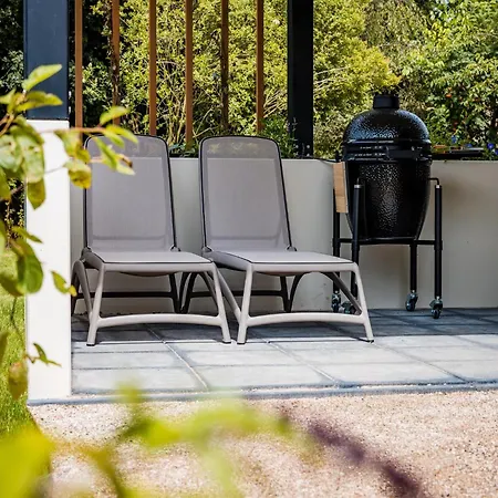 In Veluwe Surrounded By Nature *