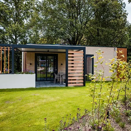 In Veluwe Surrounded By Nature *