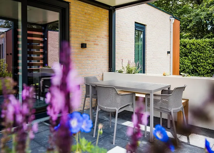 In Veluwe Surrounded By Nature *