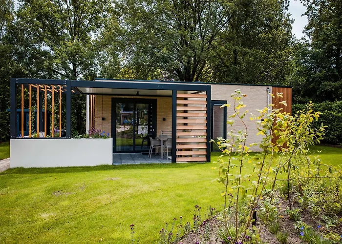 In Veluwe Surrounded By Nature *