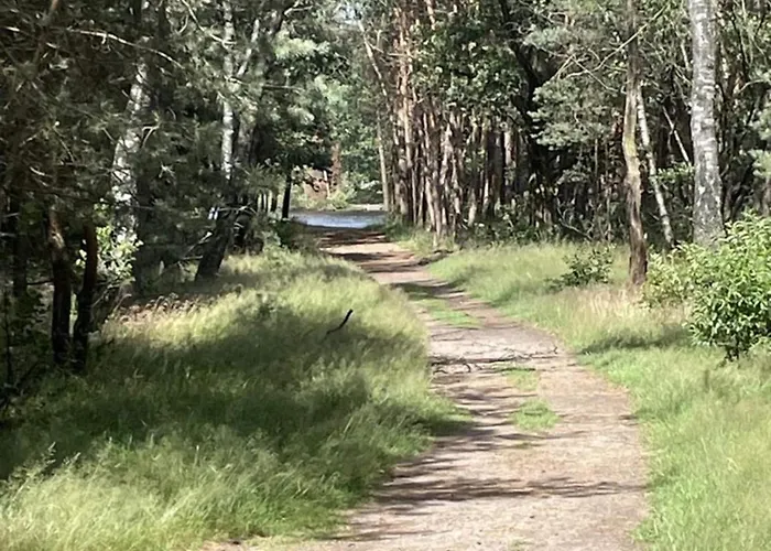In Veluwe Surrounded By Nature Feriehus *