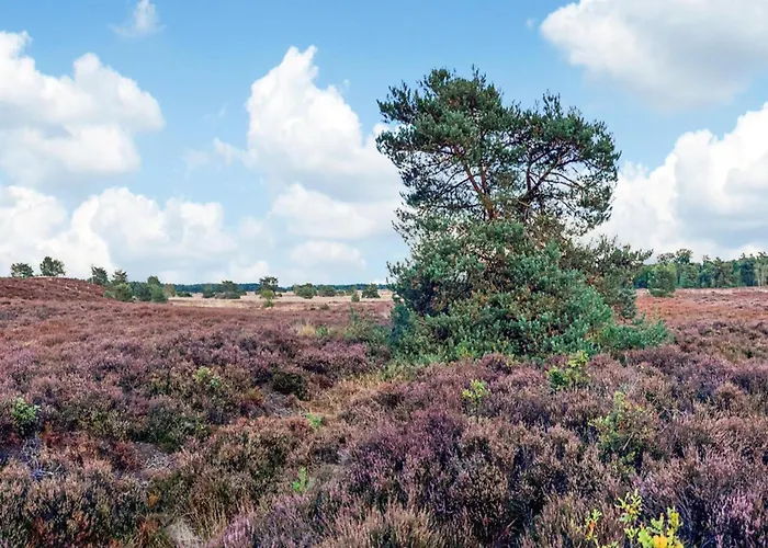 Feriehus In Veluwe Surrounded By Nature *