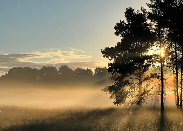 Feriehus In Veluwe Surrounded By Nature Voorthuizen