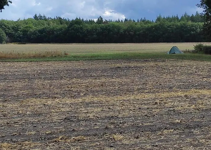 In Veluwe Surrounded By Nature *